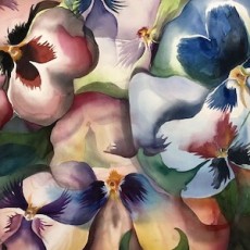 Pansy Angels