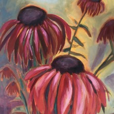 Cone Flowers